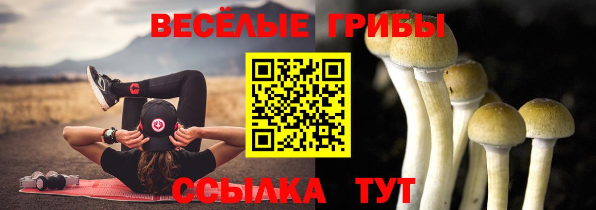 Севастополь  Псилоцибиновые грибы MAGIC MUSHROOMS  Вход с VPN 